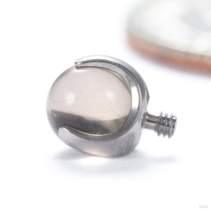 Claw-set Stone Threaded End with Smoky Quartz in Titanium 4mm from People’s Jewelry