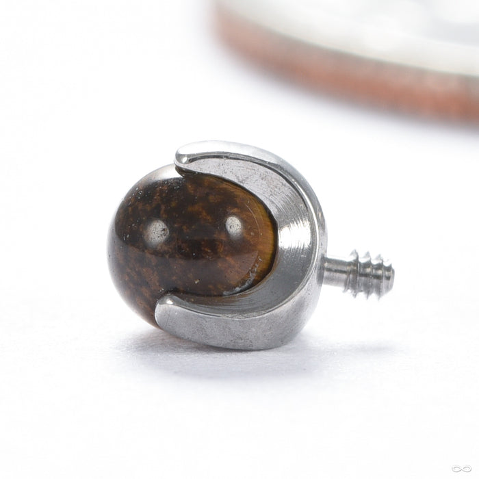 Claw-set Stone Threaded End with Tiger Eye in Titanium 3mm from People’s Jewelry