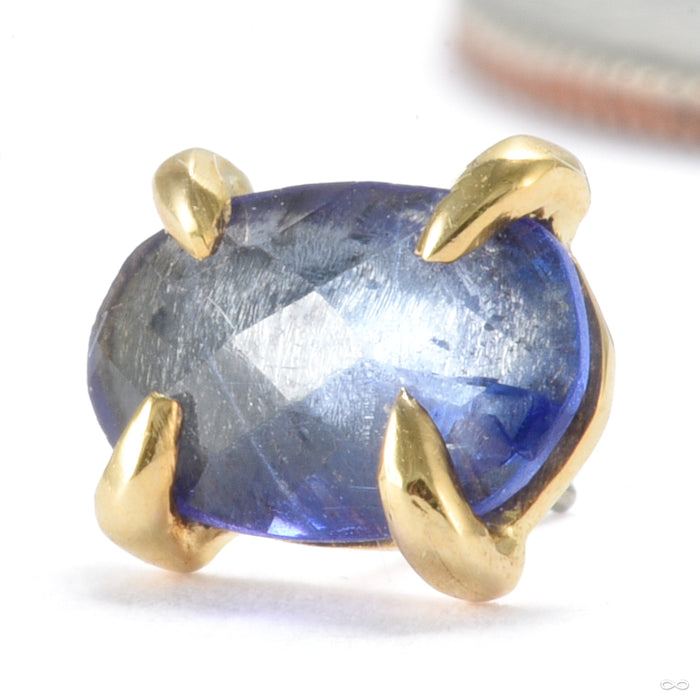 Claw-set Tourmaline Press-fit End in Gold from Quetzalli with blue tourmaline