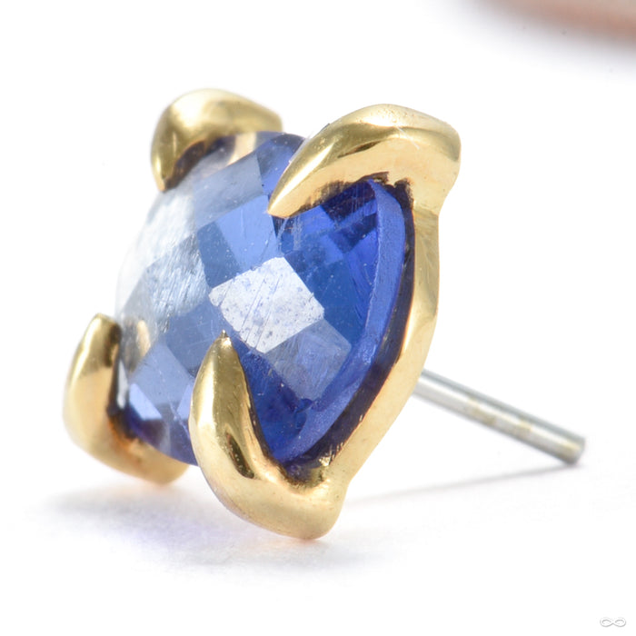 Claw-set Tourmaline Press-fit End in Gold from Quetzalli with blue tourmaline