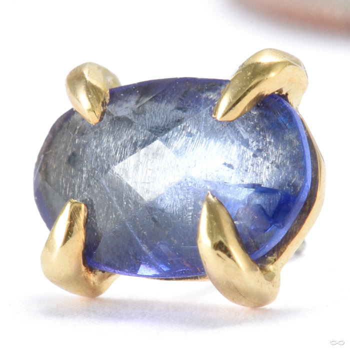 Claw-set Tourmaline Press-fit End in Gold from Quetzalli with blue tourmaline