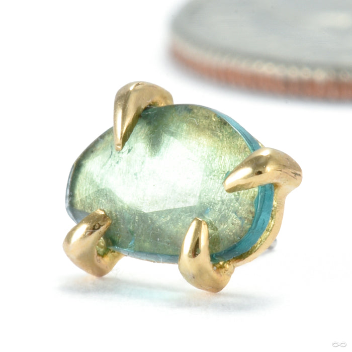 Claw-set Tourmaline Press-fit End in Gold from Quetzalli with green tourmaline