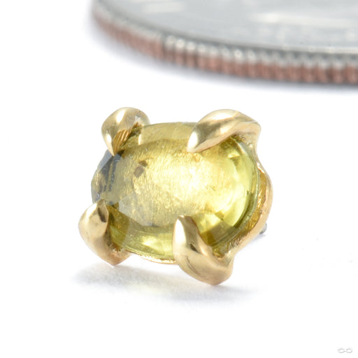 Claw-set Tourmaline Press-fit End in Gold from Quetzalli with yellow tourmaline