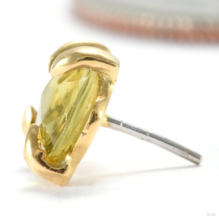 Claw-set Tourmaline Press-fit End in Gold from Quetzalli with yellow tourmaline
