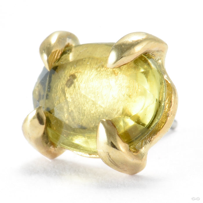 Claw-set Tourmaline Press-fit End in Gold from Quetzalli with yellow tourmaline