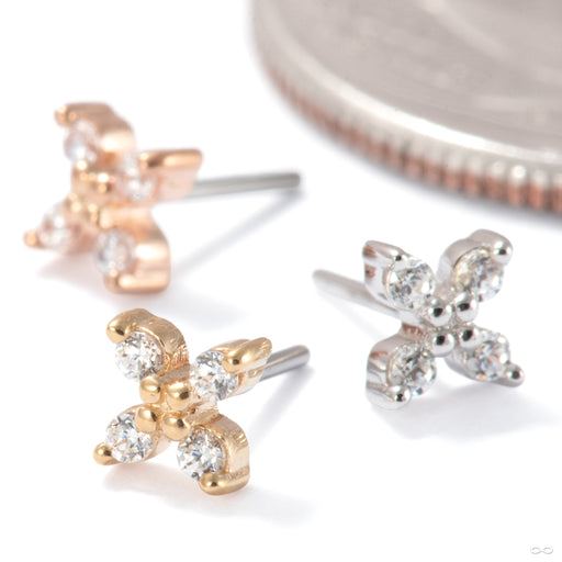 Crux Press-fit End in Gold from Ember Body Jewelry in assorted materials