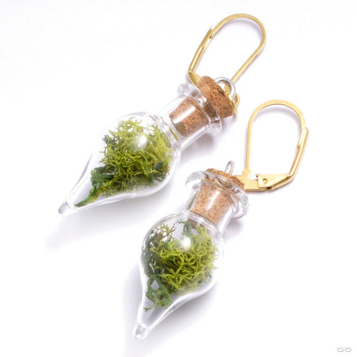 Dayak Terrarium Earrings from Uzu Organics in 18g with green moss brass