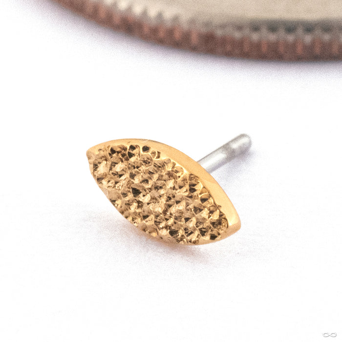 Diamond Shine Seed Press-fit End in Gold from Quetzalli in 14k Yellow Gold