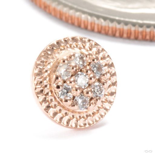 Didact Press-fit End in 14k Rose Gold with Diamonds 6mm from Seasons Handmade