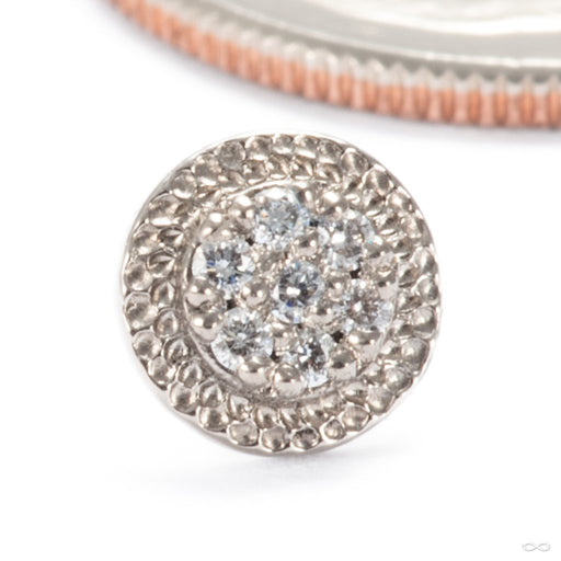 Didact Press-fit End in 14k White Gold with Diamonds 6mm from Seasons Handmade