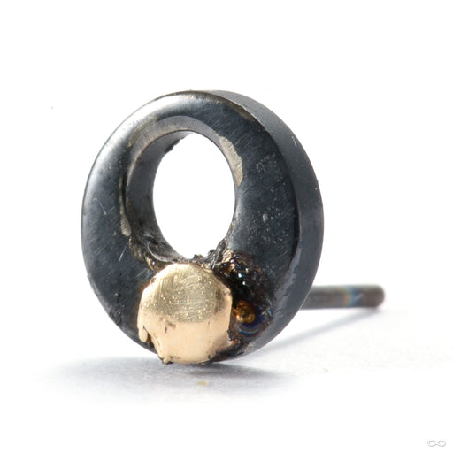 Dotted Fusion Press-fit End from Black Forest Jewelry in black niobium & 14k yellow gold