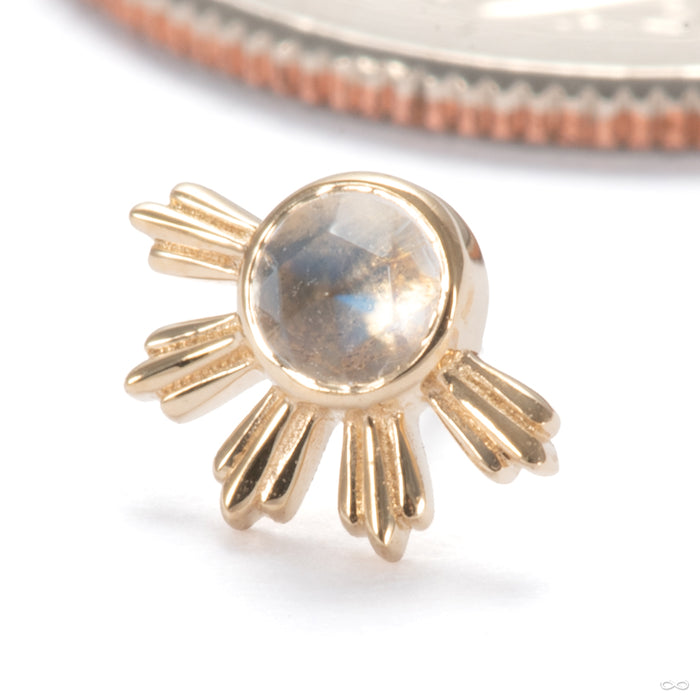 Eclipse Press-fit End in 14k Yellow Gold with Rainbow Moonstone from Ember Body Jewelry