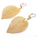 Electroplated Leaf Earrings from Uzu Organics in 18g Brass