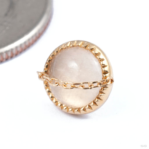 Elemence Grizant Cabochon Press-fit End in Gold from Auris Jewellery in yellow gold with crystal quartz