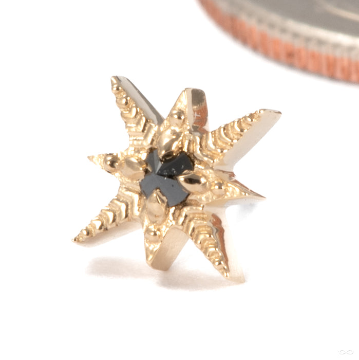 Elendres Press-fit End in 14k Yellow Gold with Black Diamond from Tether Jewelry