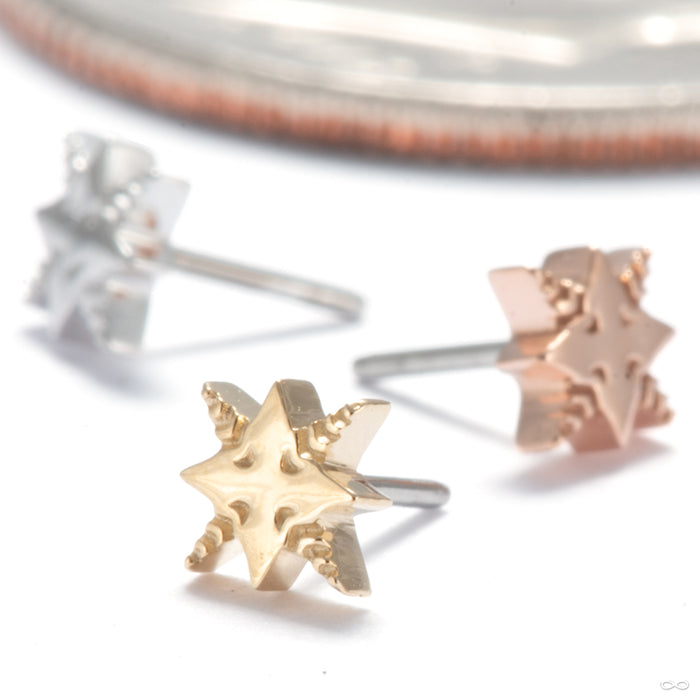 Eleni Press-fit End in Gold from Tether Jewelry in assorted materials