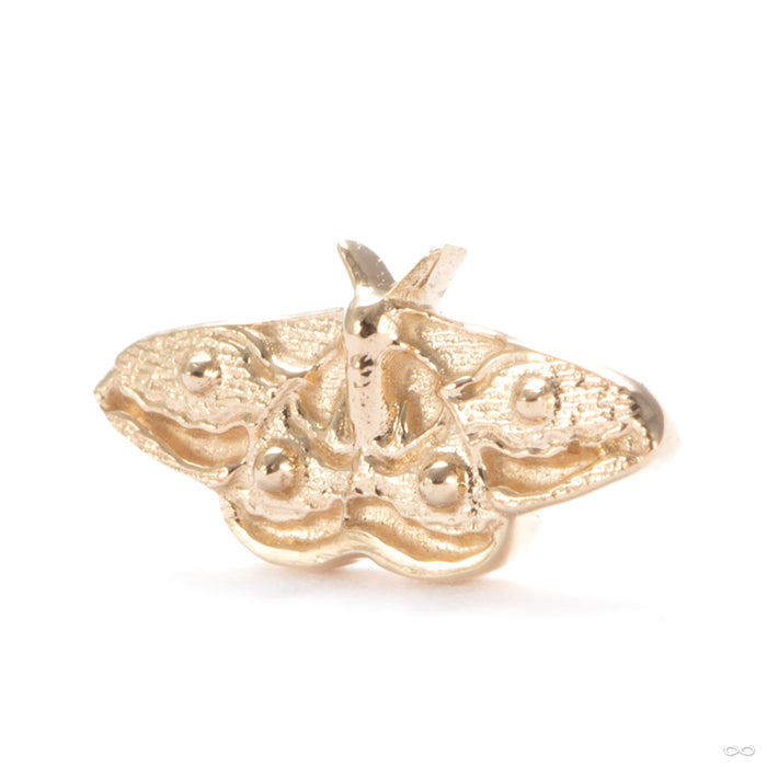 Empress Press-fit End in 14k Yellow Gold from Regalia