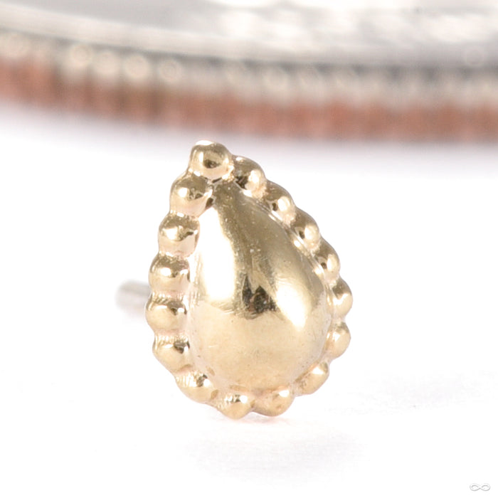 Fat Bottomed Girl Press-fit End in Gold from Regalia in yellow gold small