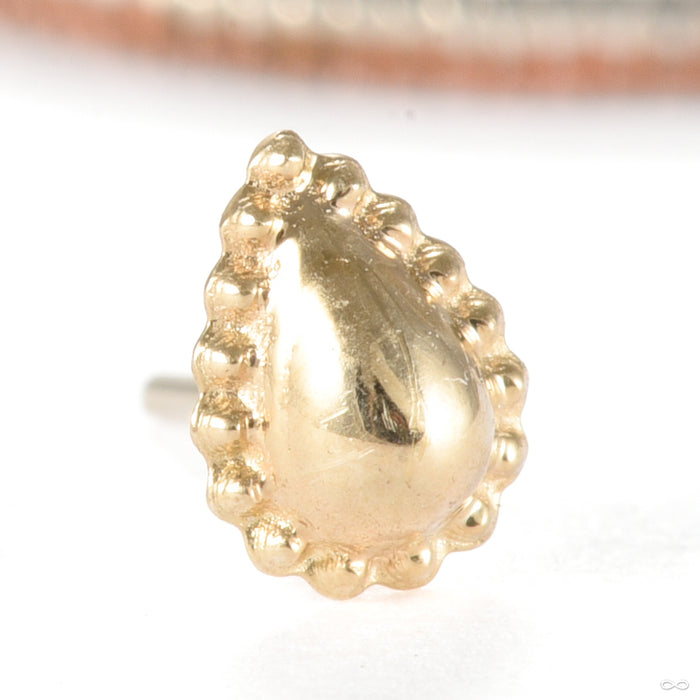 Fat Bottomed Girl Press-fit End in Gold from Regalia in yellow gold medium