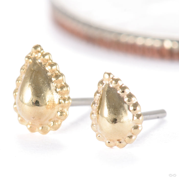 Fat Bottomed Girl Press-fit End in Gold from Regalia in yellow gold size comparison