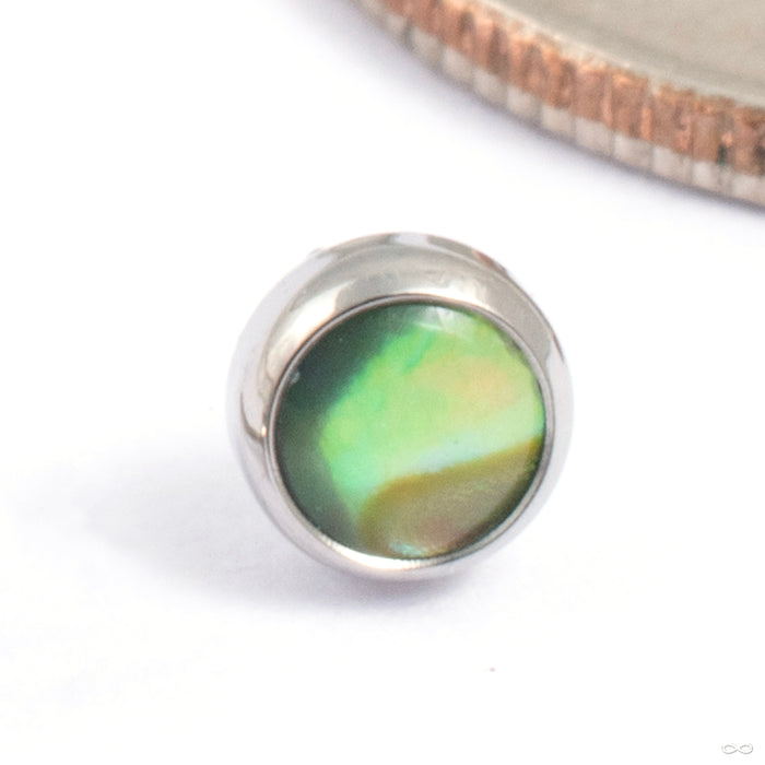 Flat Back Cabochon Gem Press-fit End in Titanium from Industrial Strength in natural puau shell