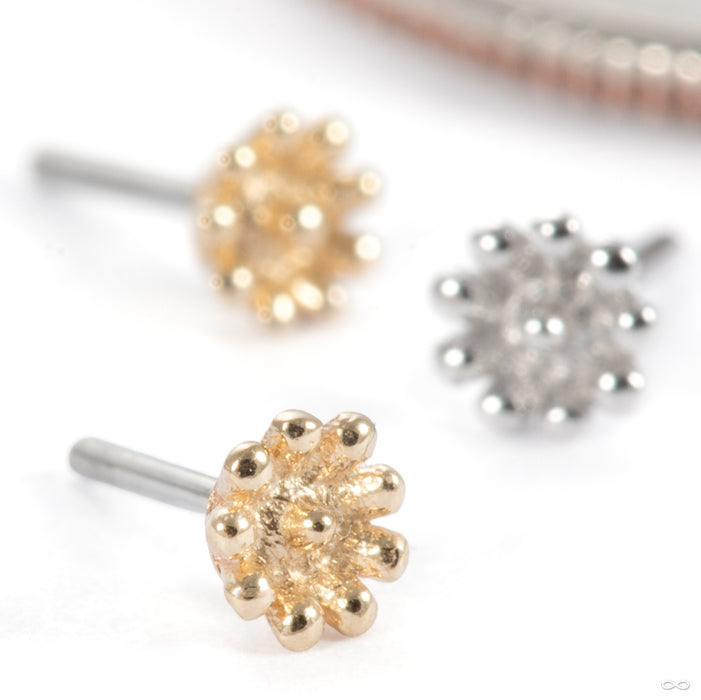 Flutter Press-fit End in Gold from Tawapa in assorted materials