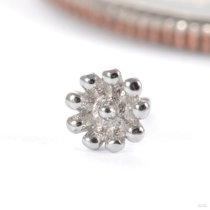 Flutter Press-fit End in 14k White Gold from Tawapa