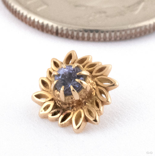 Foliage Threaded End in 15k Yellow Gold with Tanzanite from Kiwii Jewelry