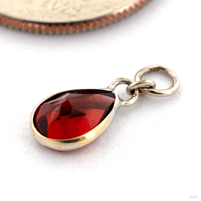 Fresco Charm in 14k White Gold with Garnet from Hialeah