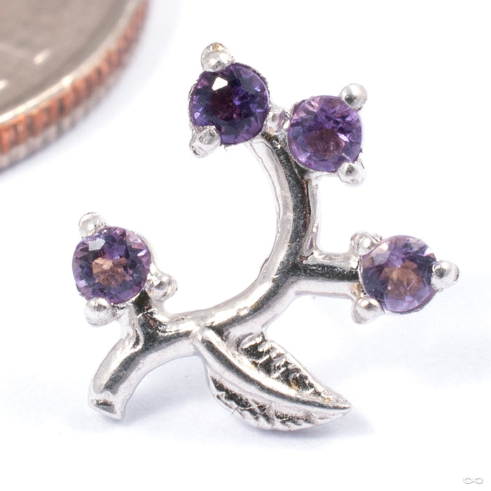 Frond Press-fit End in Gold from Tawapa with amethyst