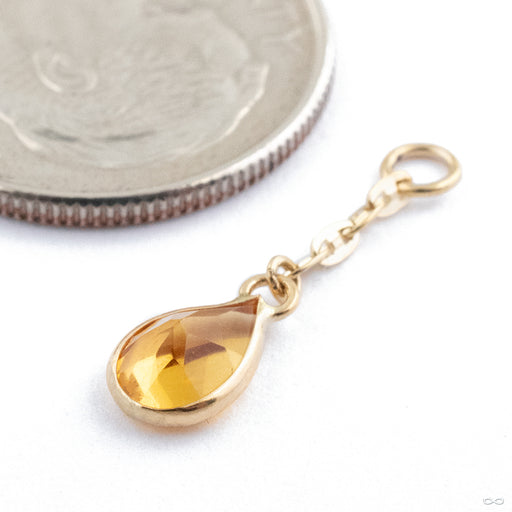 Fruta Charm in 14k Yellow Gold with Citrine from Hialeah