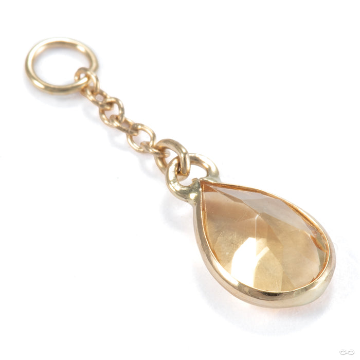 Fruta Charm in 14k Yellow Gold with Citrine from Hialeah