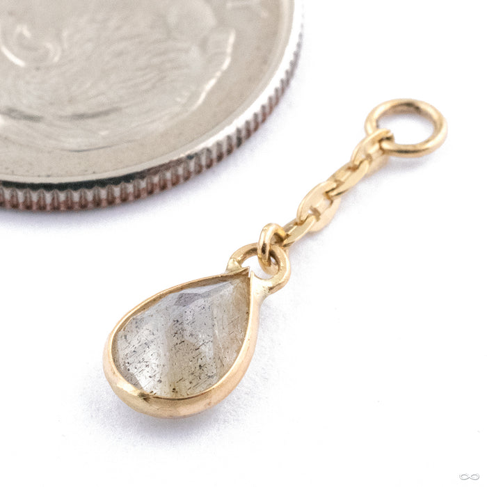 Fruta Charm in Gold from Hialeah