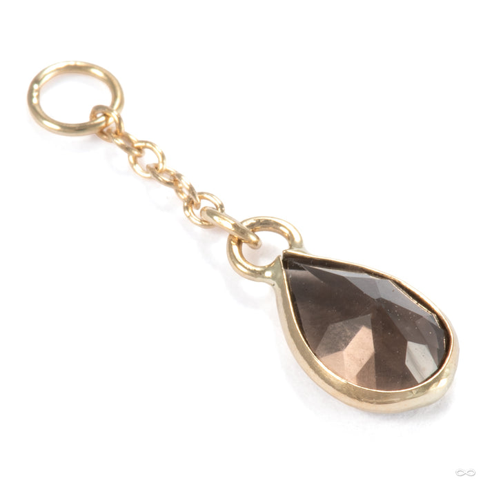 Fruta Charm in 14k Yellow Gold with Smoky Quartz from Hialeah