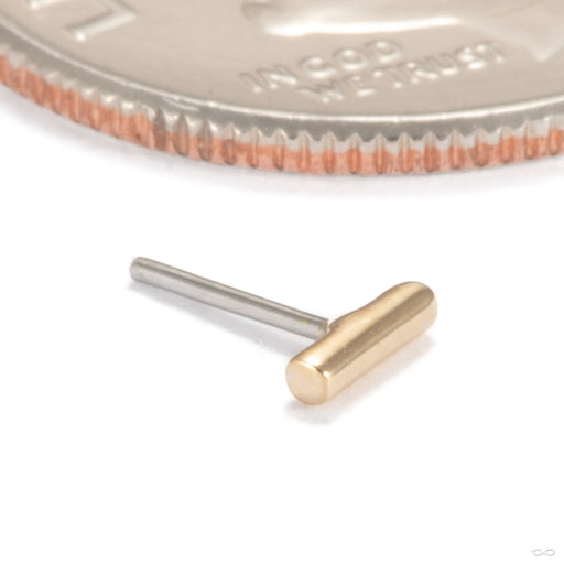 Funfetti Press-fit End in 14k Yellow Gold from Ember Body Jewelry