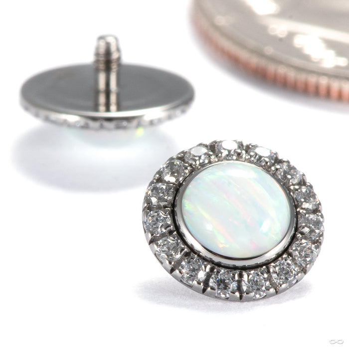 Gem Pave Halo Threaded End in 14g Titanium with White Opal & Clear CZ from Intrinsic group
