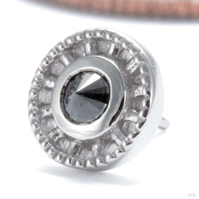 Gemmed Omega 12 Press-fit End in 14k White Gold with Black Diamond from Tether Jewelry