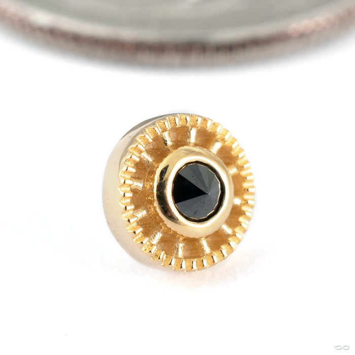 Gemmed Omega 12 Press-fit End in 14k Yellow Gold with Black Diamond from Tether Jewelry