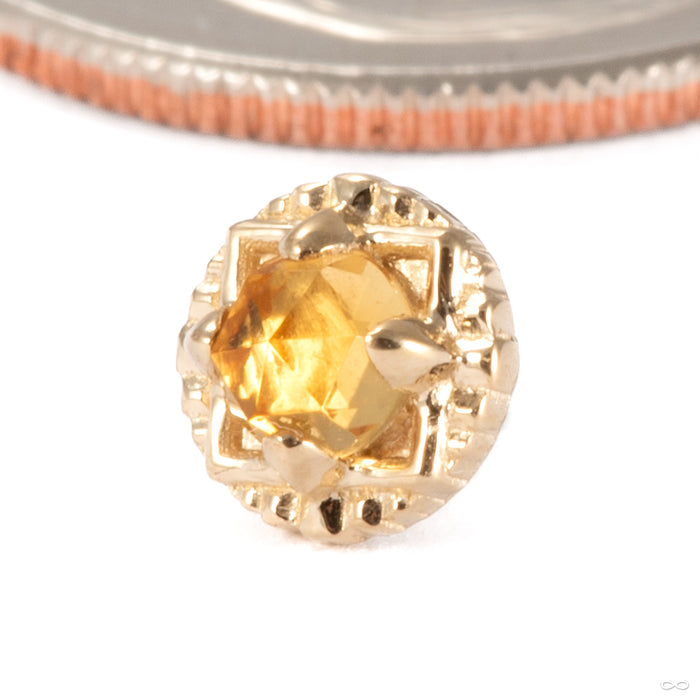 Gemmed Omega 24 Press-fit End in 14k Yellow Gold with Citrine from Tether Jewelry
