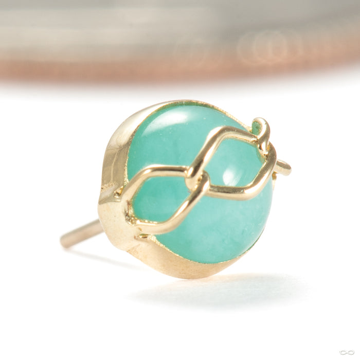 Get Money Press-fit End in 14k Yellow Gold with Amazonite from Pupil Hall