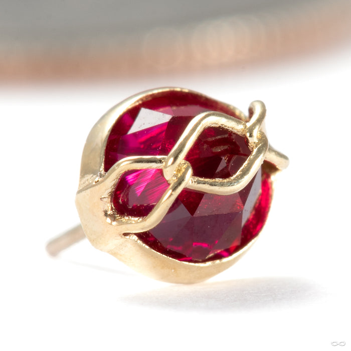 Get Money Press-fit End in 14k Yellow Gold with Ruby from Pupil Hall