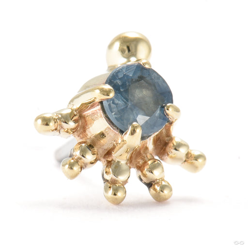Golden Hour Press-fit End in Gold from Sacred Symbols with blue sapphire