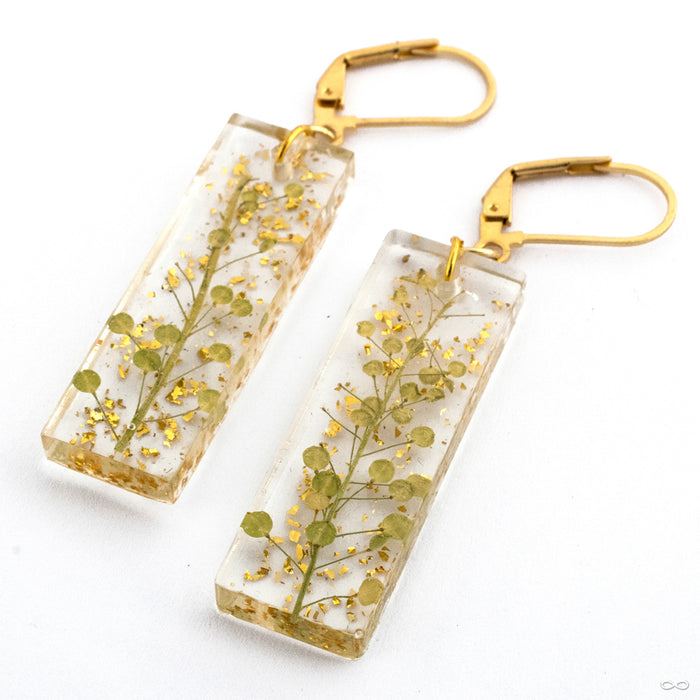 Golden Sprig Earrings from Uzu Organics in 18g with brass