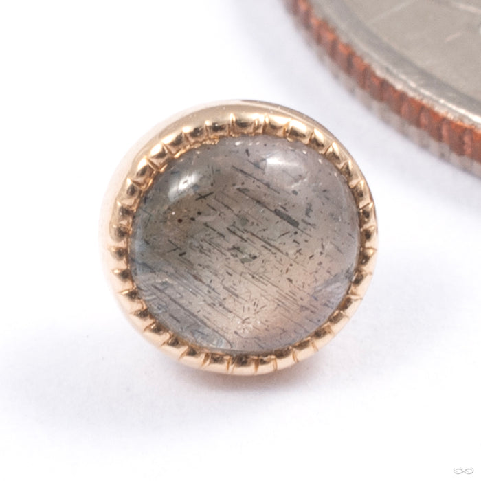 Grizant Cabochon Press-fit End in Gold from Auris Jewellery in yellow gold with labradorite