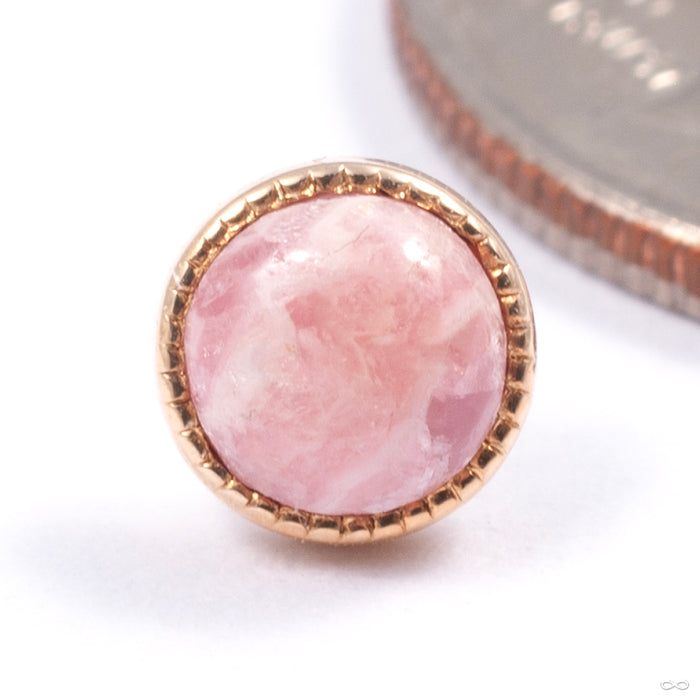 Grizant Cabochon Press-fit End in Gold from Auris Jewellery in yellow gold with rhodocrosite
