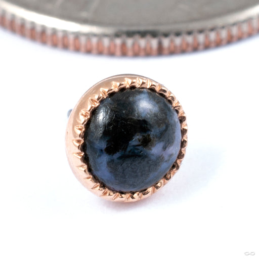 Grizant Cabochon Press-fit End in Gold from Auris Jewellery in yellow gold with iolite