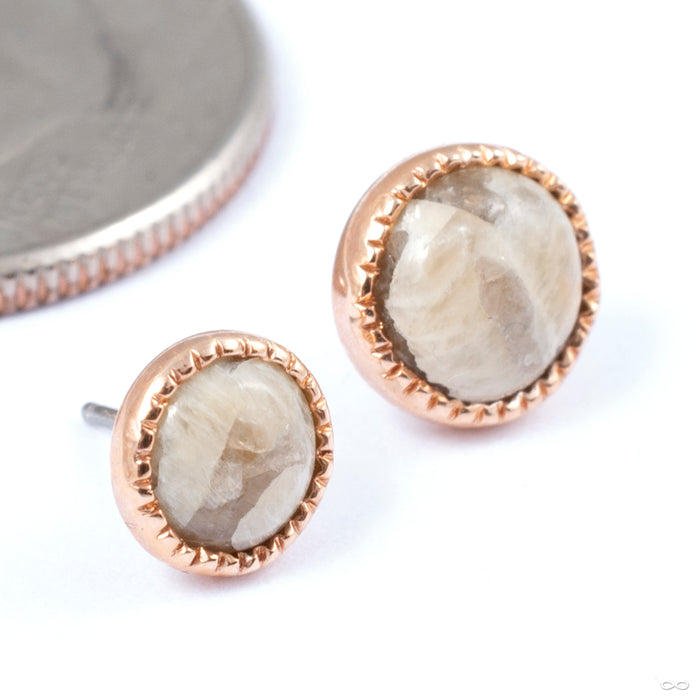 Grizant Cabochon Press-fit End in Gold from Auris Jewellery in rose gold with pegmatite