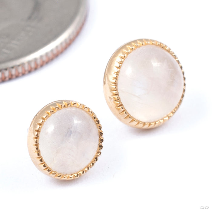 Grizant Cabochon Press-fit End in Gold from Auris Jewellery in yellow gold with rainbow moonstone