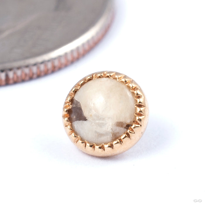Grizant Cabochon Threaded End in Gold from Auris Jewellery in yellow gold with pegmatite