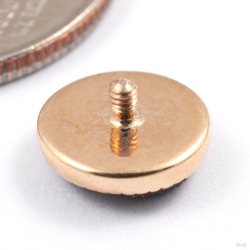 Grizant Druzy Threaded End in Gold from Auris Jewellery in yellow gold with bronze druzy back detail